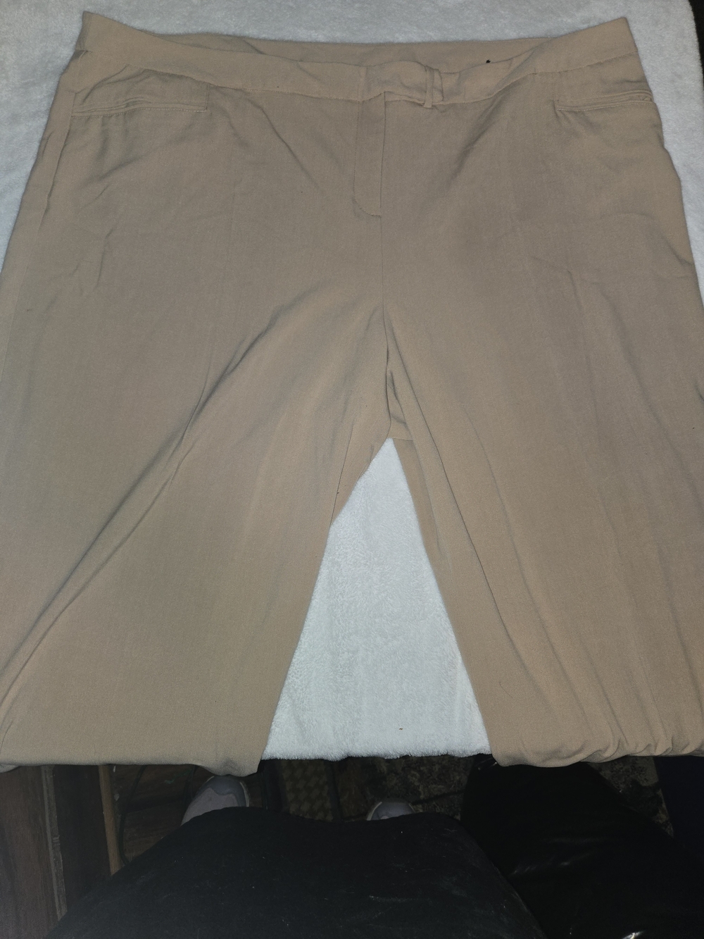 Lane Bryant Light Brown/Tan Dress Trousers